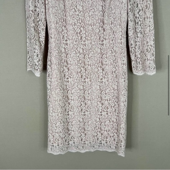Adrianna Papell Evening Lace Dress with Exposed Back Zipper Pale Pink Size 6 - Picture 6 of 11